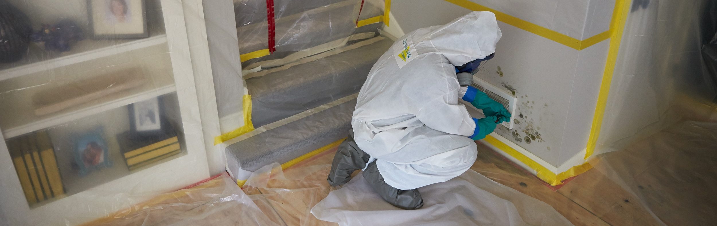 Residential Mold Remediation and Mold Cleanup Services in Chicagoland